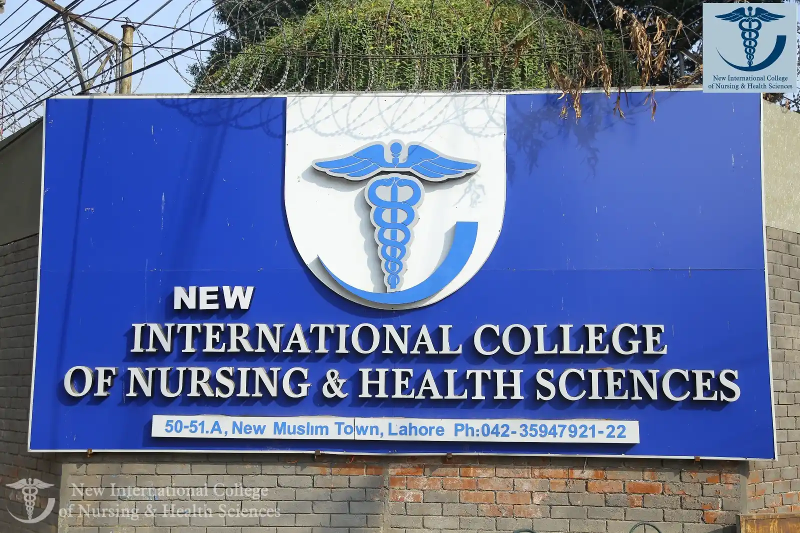 New International College Of Nursing and Health science
